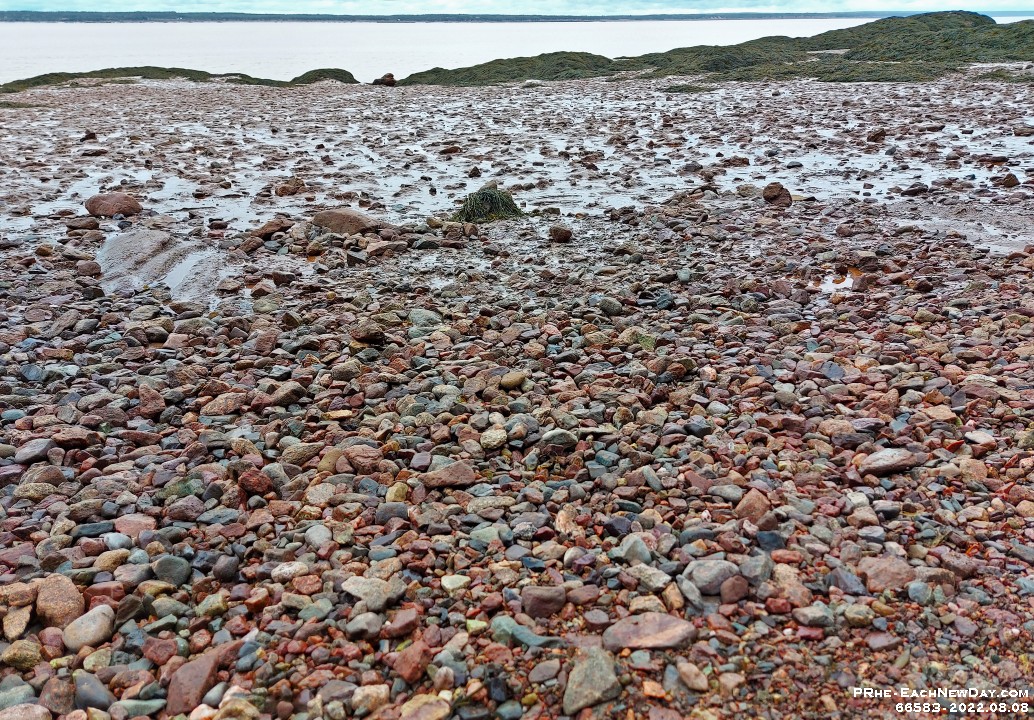 66583RoCrLe - Exploring the low tide beach at Hopewll Rocks National Park, NB